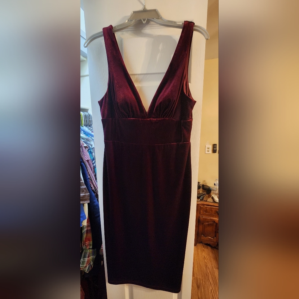 Bodycon velvet dress